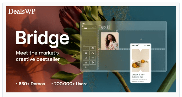 Bridge Theme Home Page 